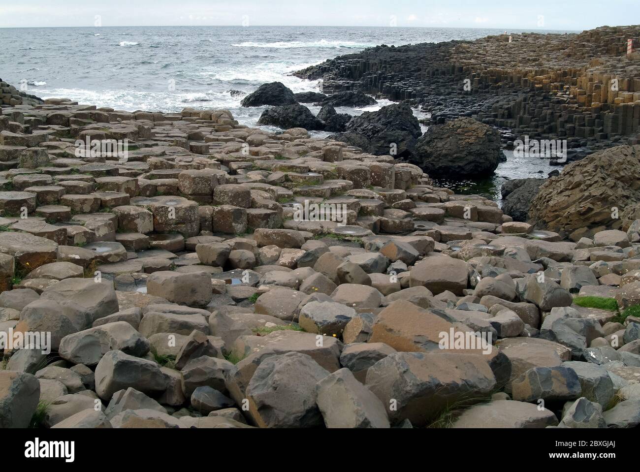 Giant's Causeway, Irlanda del Nord, Nordirland, Europa, Észak-Írország, patrimonio dell'umanità dell'UNESCO Foto Stock