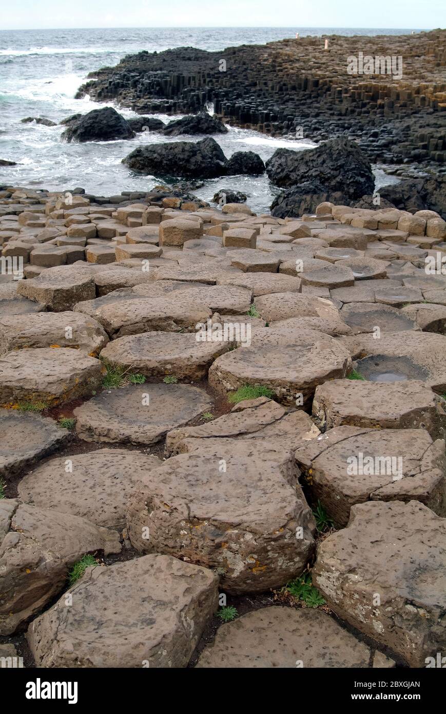 Giant's Causeway, Irlanda del Nord, Nordirland, Europa, Észak-Írország, patrimonio dell'umanità dell'UNESCO Foto Stock