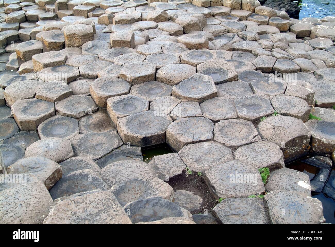 Giant's Causeway, Irlanda del Nord, Nordirland, Europa, Észak-Írország, patrimonio dell'umanità dell'UNESCO Foto Stock