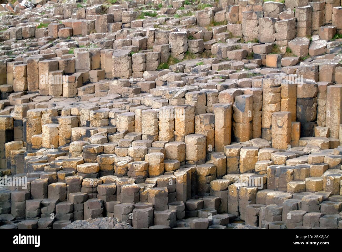 Giant's Causeway, Irlanda del Nord, Nordirland, Europa, Észak-Írország, patrimonio dell'umanità dell'UNESCO Foto Stock