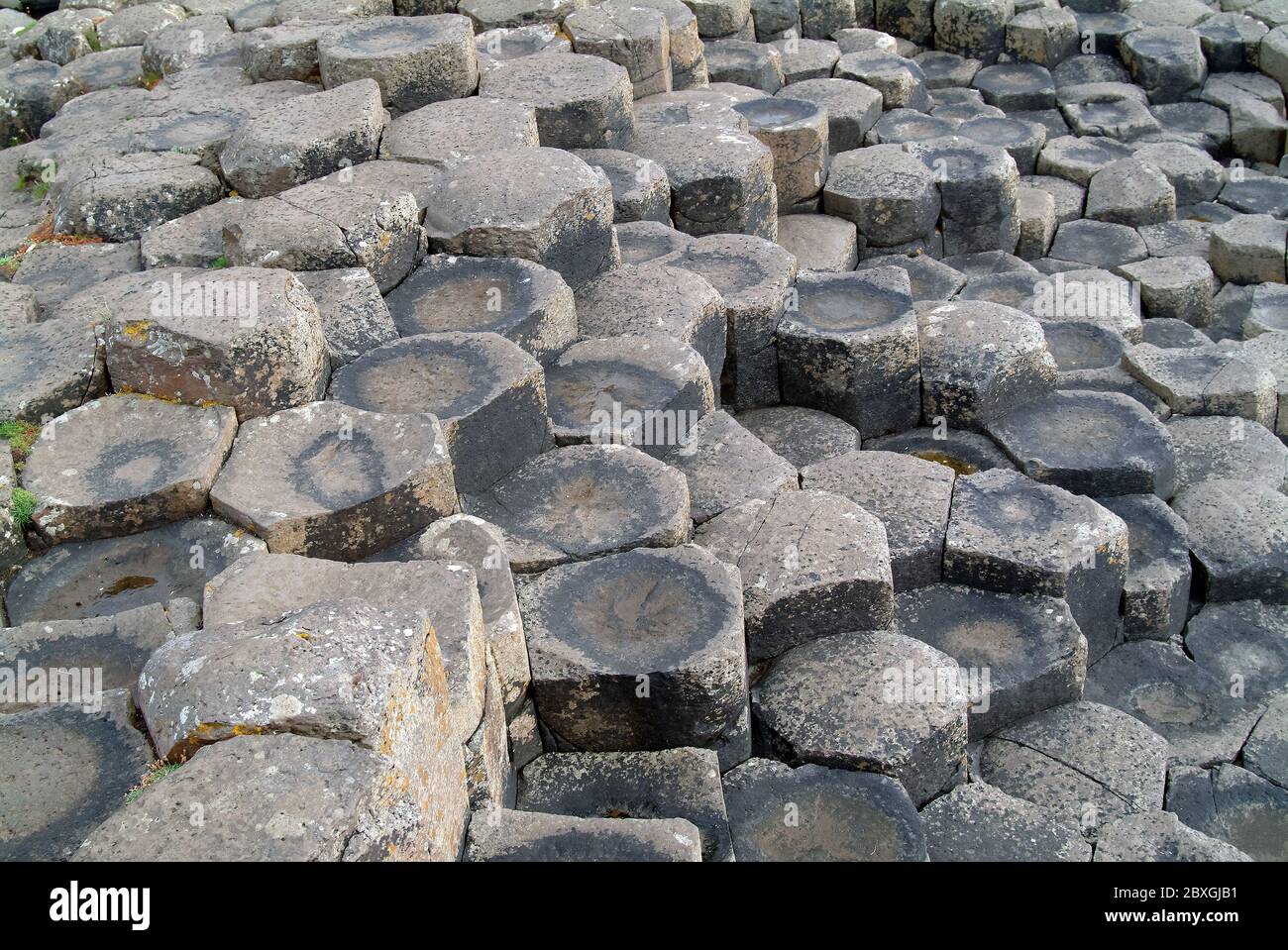 Giant's Causeway, Irlanda del Nord, Nordirland, Europa, Észak-Írország, patrimonio dell'umanità dell'UNESCO Foto Stock