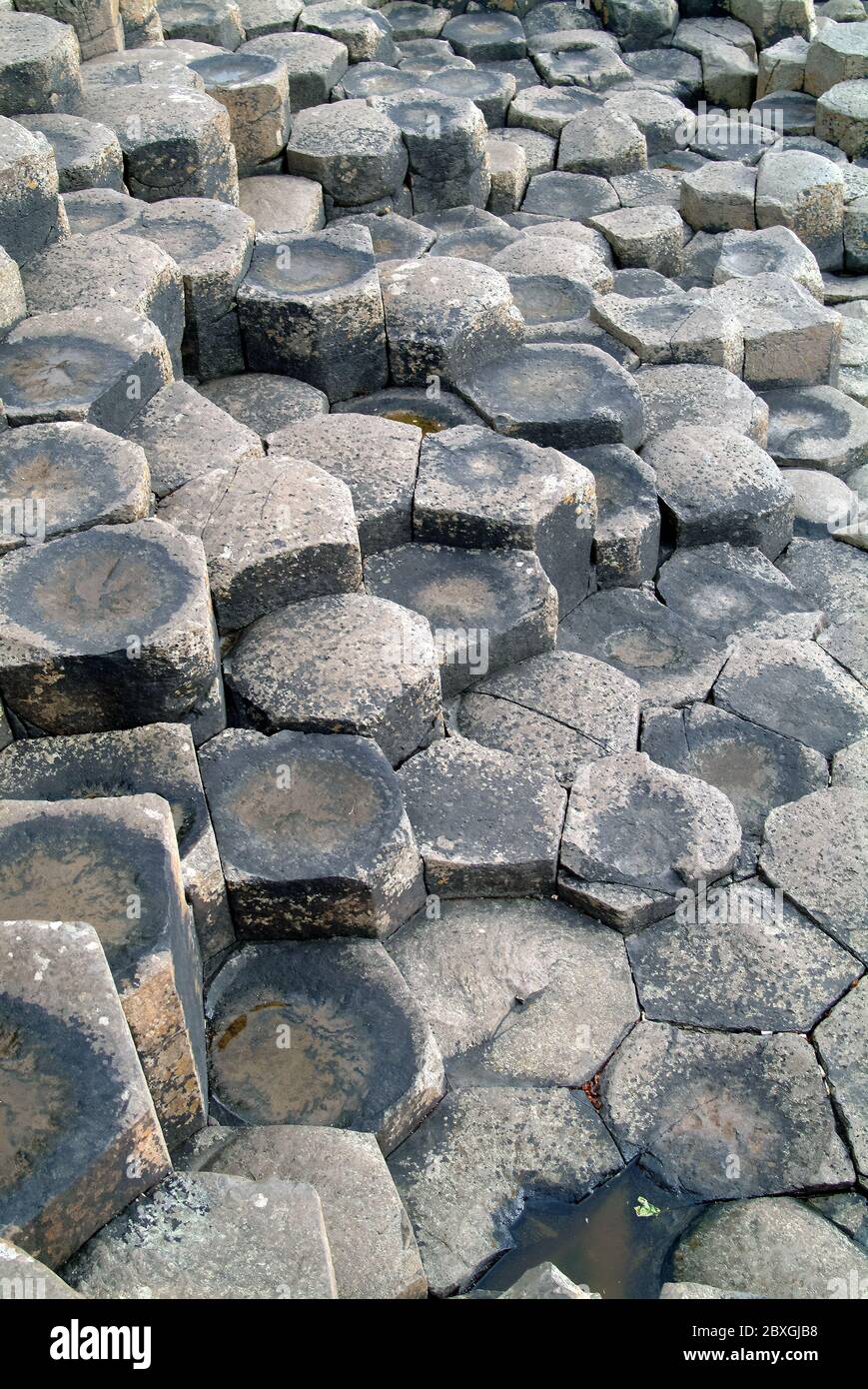 Giant's Causeway, Irlanda del Nord, Nordirland, Europa, Észak-Írország, patrimonio dell'umanità dell'UNESCO Foto Stock