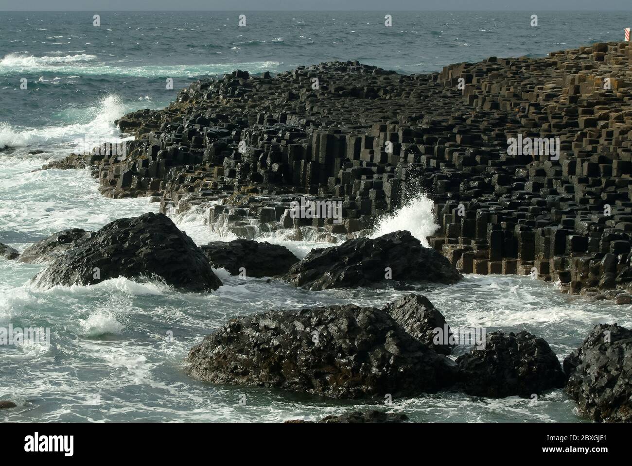 Giant's Causeway, Irlanda del Nord, Nordirland, Europa, Észak-Írország, patrimonio dell'umanità dell'UNESCO Foto Stock