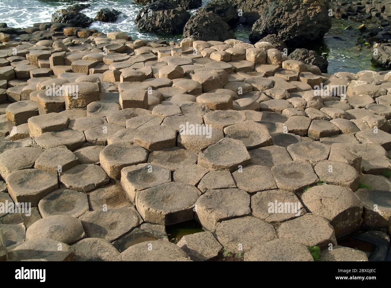 Giant's Causeway, Irlanda del Nord, Nordirland, Europa, Észak-Írország, patrimonio dell'umanità dell'UNESCO Foto Stock