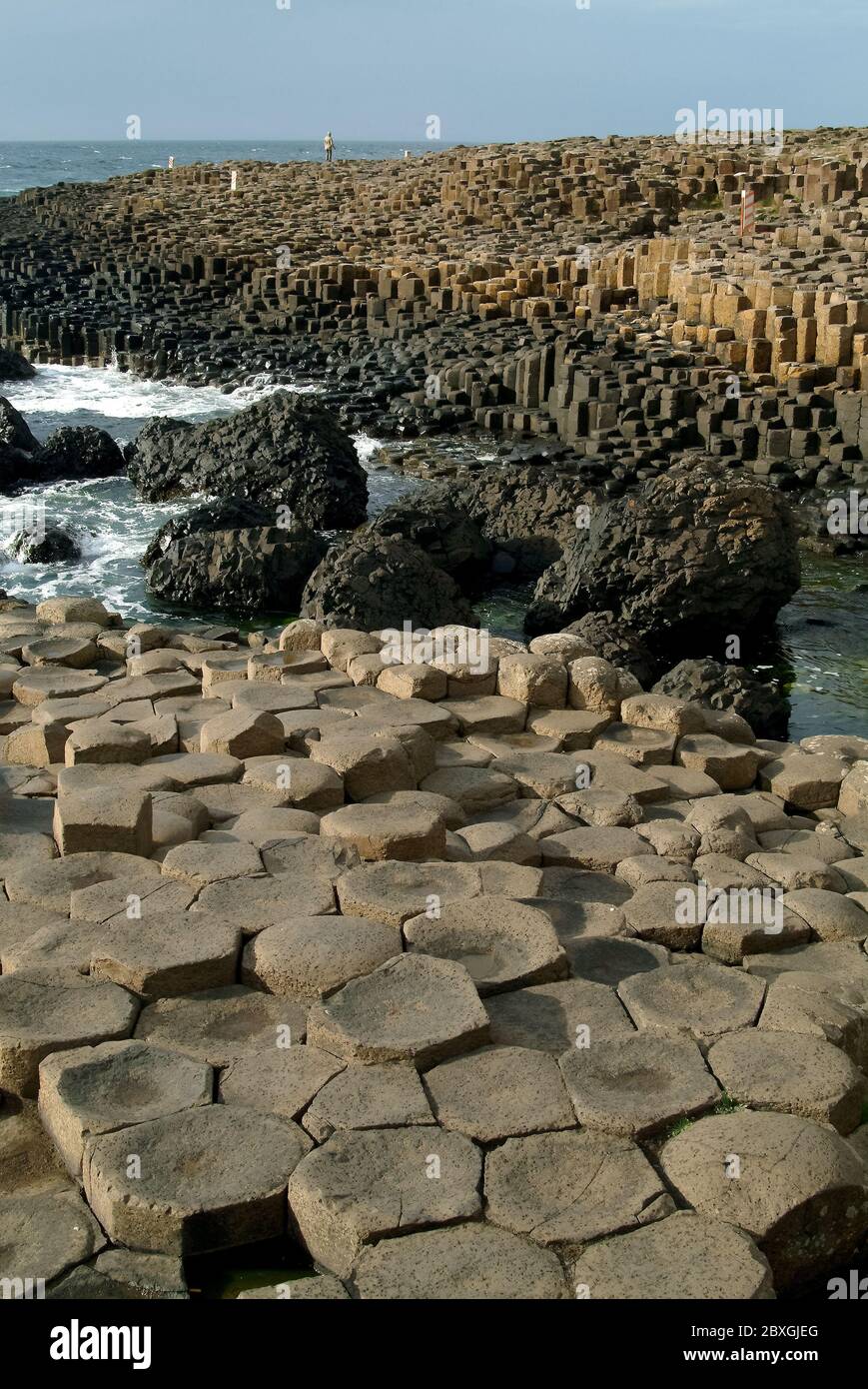 Giant's Causeway, Irlanda del Nord, Nordirland, Europa, Észak-Írország, patrimonio dell'umanità dell'UNESCO Foto Stock