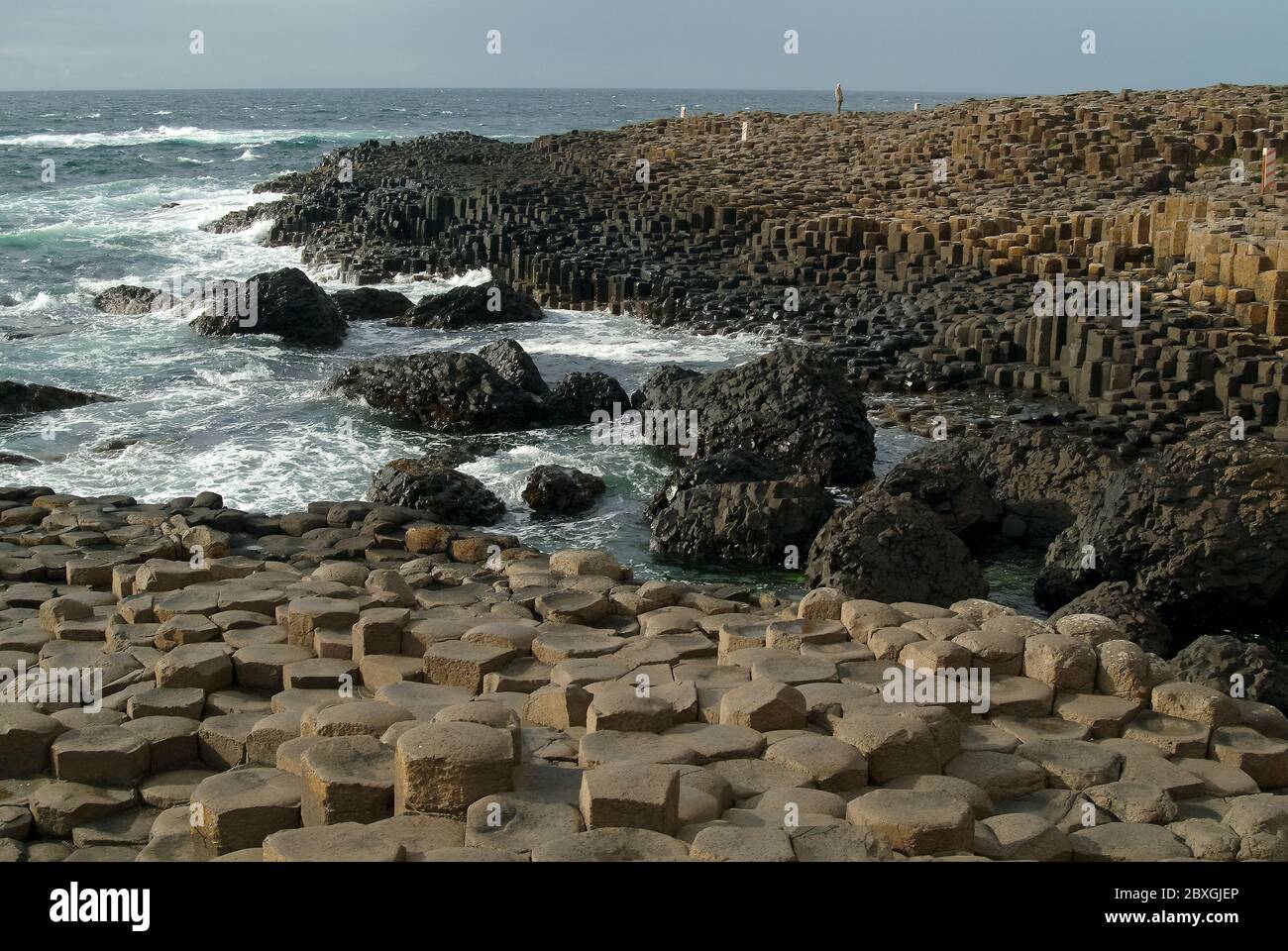 Giant's Causeway, Irlanda del Nord, Nordirland, Europa, Észak-Írország, patrimonio dell'umanità dell'UNESCO Foto Stock