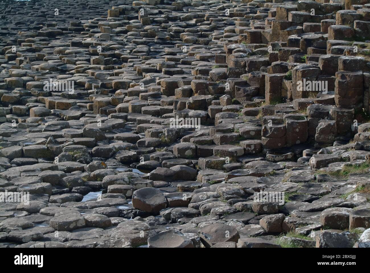 Giant's Causeway, Irlanda del Nord, Nordirland, Europa, Észak-Írország, patrimonio dell'umanità dell'UNESCO Foto Stock