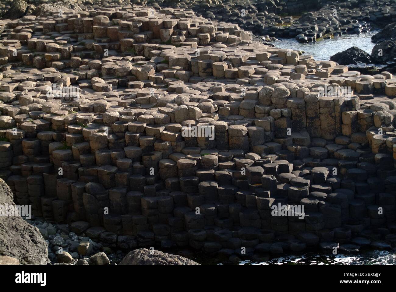 Giant's Causeway, Irlanda del Nord, Nordirland, Europa, Észak-Írország, patrimonio dell'umanità dell'UNESCO Foto Stock