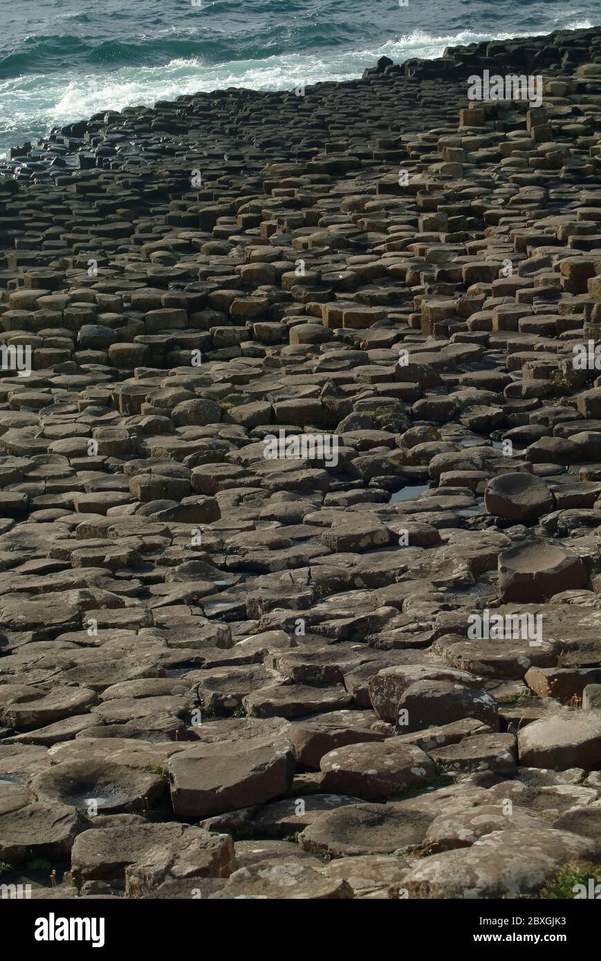 Giant's Causeway, Irlanda del Nord, Nordirland, Europa, Észak-Írország, patrimonio dell'umanità dell'UNESCO Foto Stock
