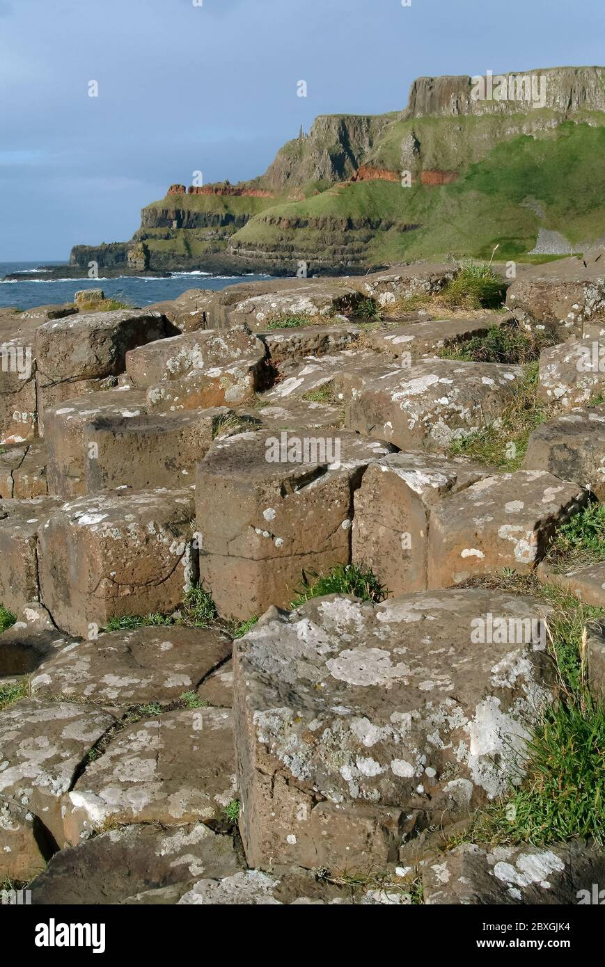 Giant's Causeway, Irlanda del Nord, Nordirland, Europa, Észak-Írország, patrimonio dell'umanità dell'UNESCO Foto Stock