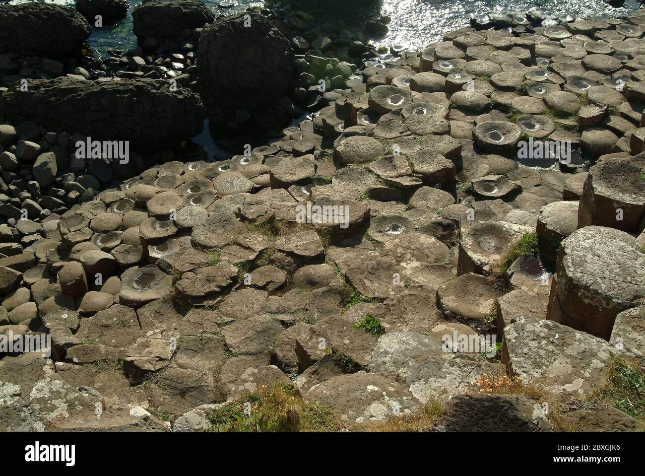 Giant's Causeway, Irlanda del Nord, Nordirland, Europa, Észak-Írország, patrimonio dell'umanità dell'UNESCO Foto Stock