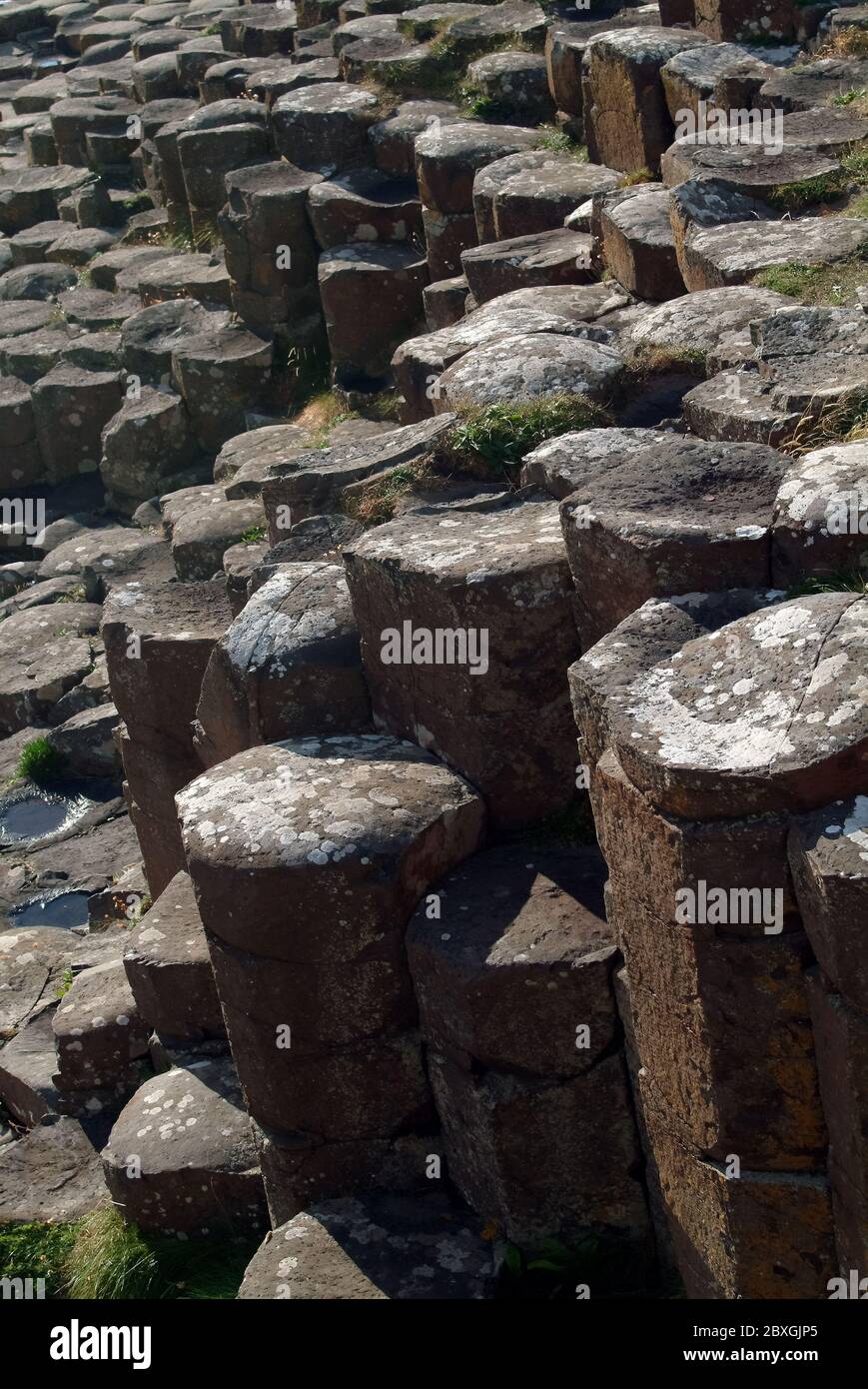 Giant's Causeway, Irlanda del Nord, Nordirland, Europa, Észak-Írország, patrimonio dell'umanità dell'UNESCO Foto Stock