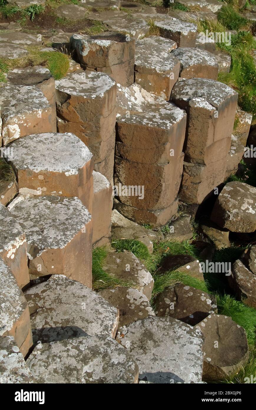 Giant's Causeway, Irlanda del Nord, Nordirland, Europa, Észak-Írország, patrimonio dell'umanità dell'UNESCO Foto Stock
