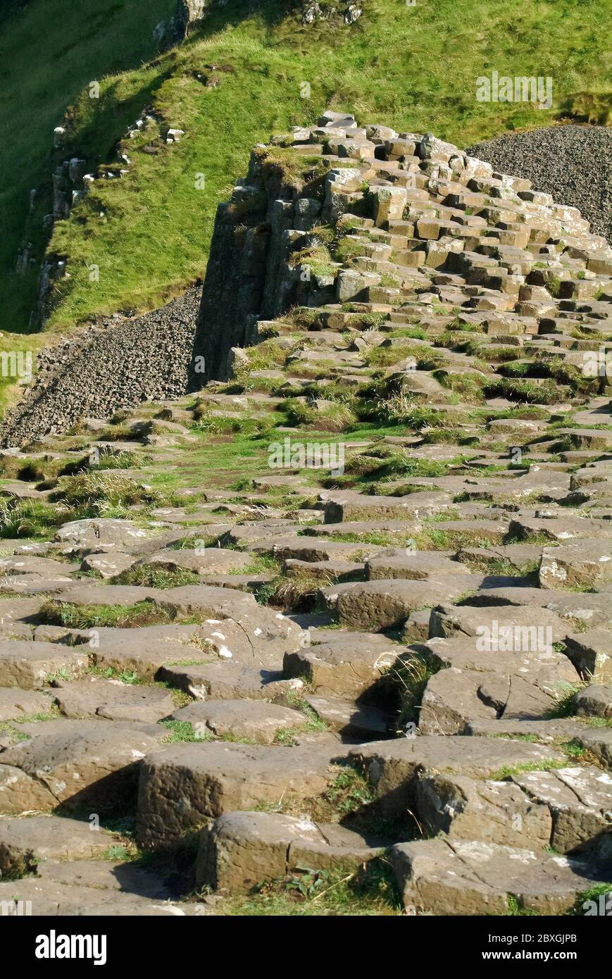 Giant's Causeway, Irlanda del Nord, Nordirland, Europa, Észak-Írország, patrimonio dell'umanità dell'UNESCO Foto Stock