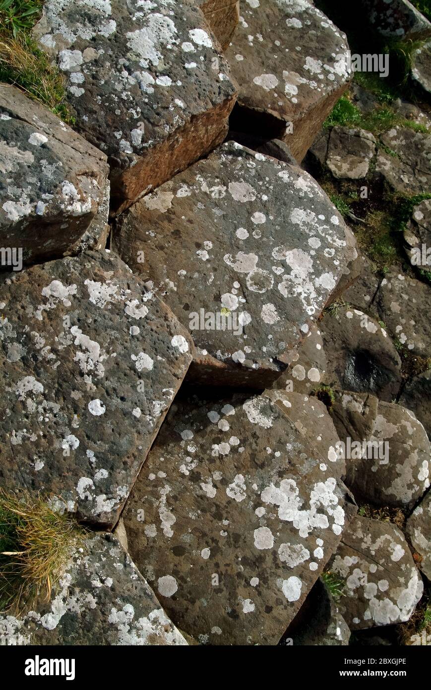 Giant's Causeway, Irlanda del Nord, Nordirland, Europa, Észak-Írország, patrimonio dell'umanità dell'UNESCO Foto Stock