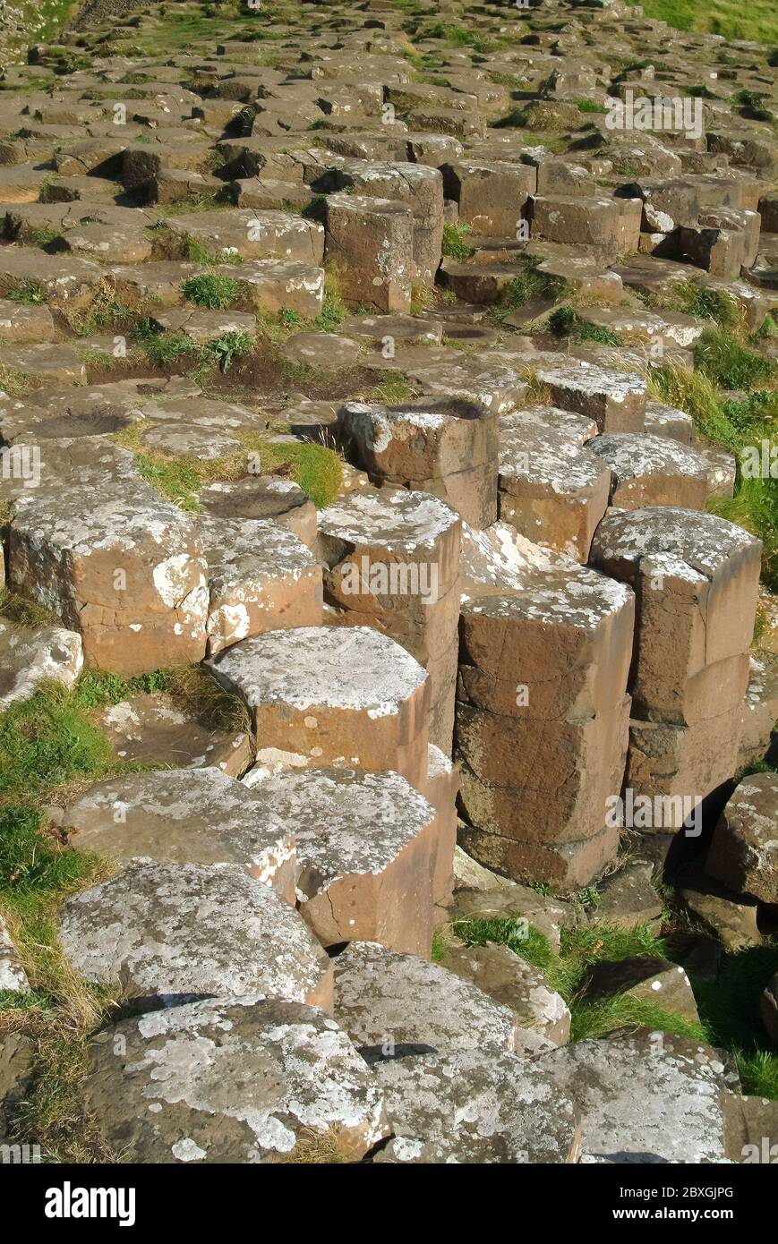 Giant's Causeway, Irlanda del Nord, Nordirland, Europa, Észak-Írország, patrimonio dell'umanità dell'UNESCO Foto Stock