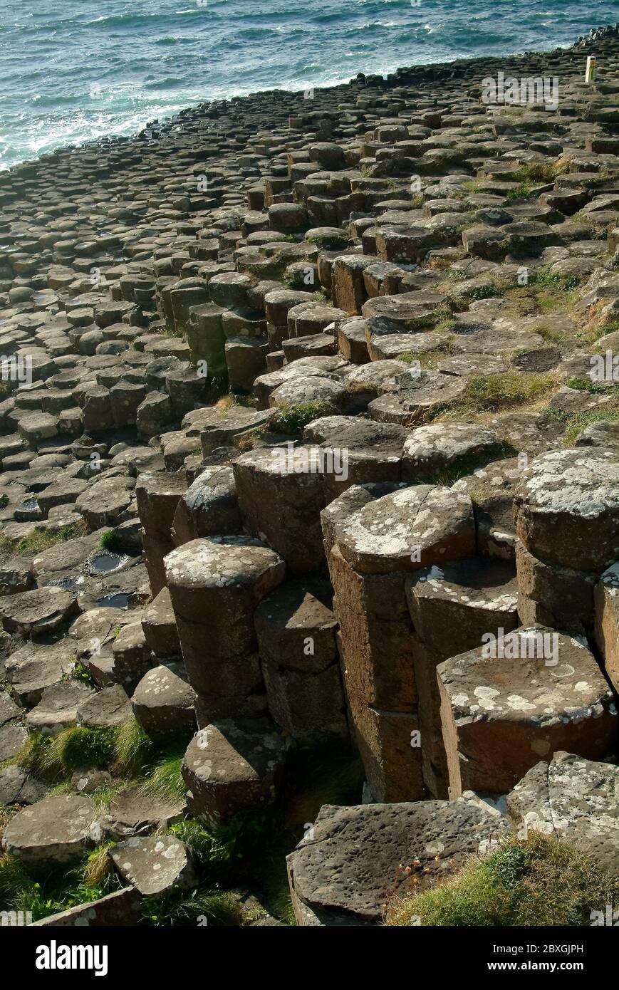 Giant's Causeway, Irlanda del Nord, Nordirland, Europa, Észak-Írország, patrimonio dell'umanità dell'UNESCO Foto Stock