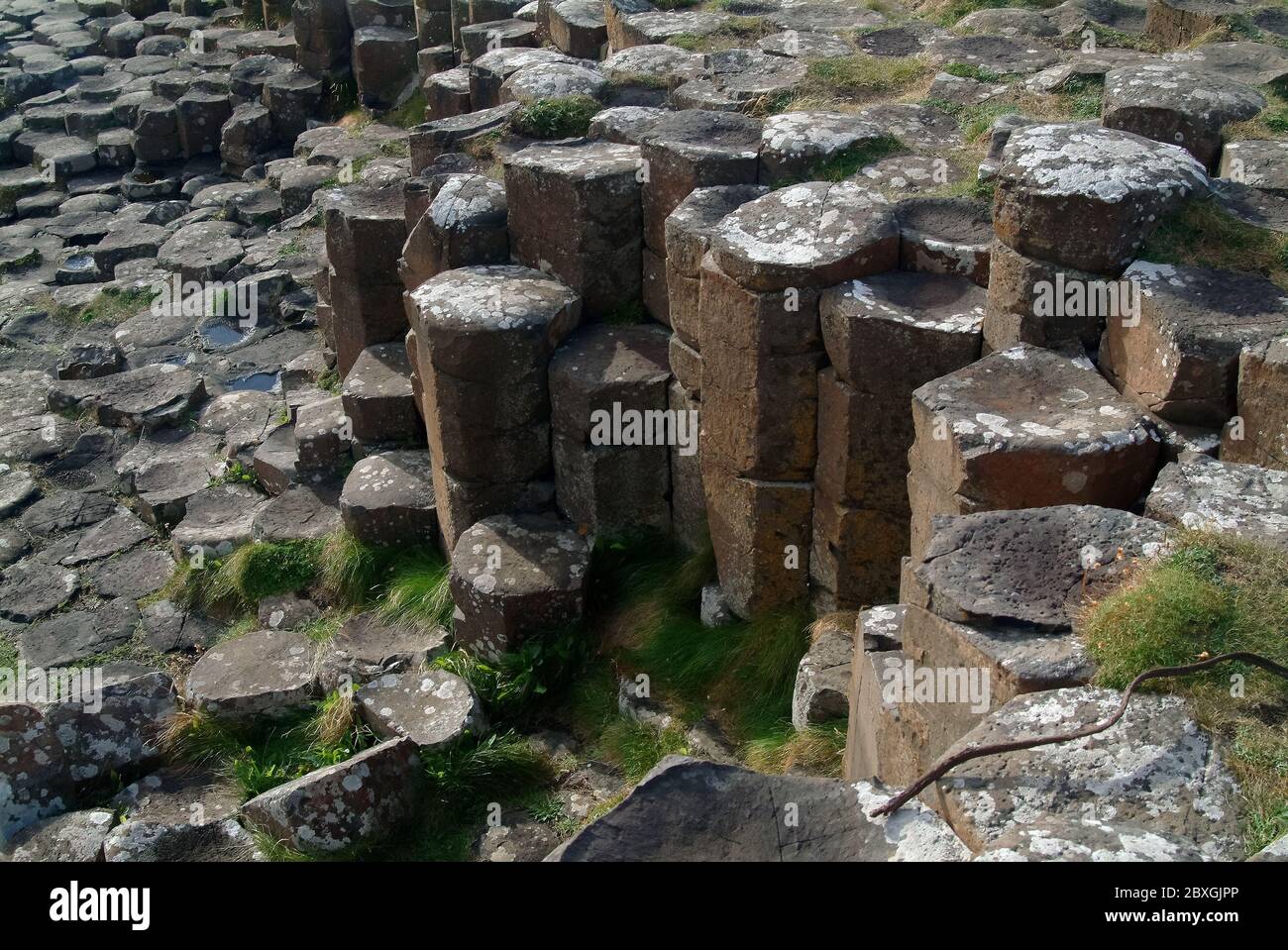 Giant's Causeway, Irlanda del Nord, Nordirland, Europa, Észak-Írország, patrimonio dell'umanità dell'UNESCO Foto Stock