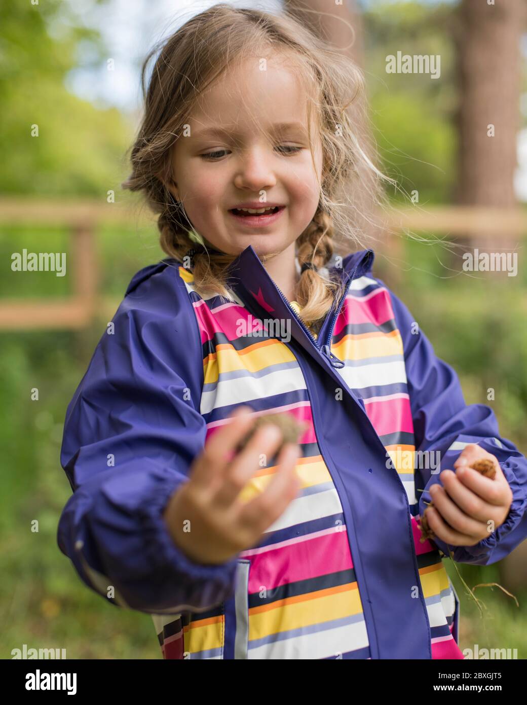 4 anni ragazza piantando e giardinaggio, piantando fuori piante di cetriolo, portando il cappotto di pioggia arancione/viola, giorno di sole, aiuti pre-schooler in giardino Foto Stock