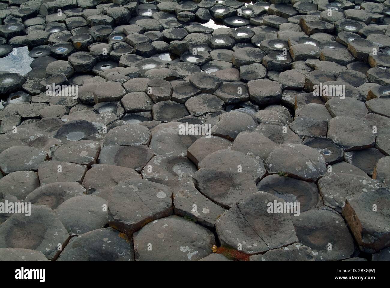 Giant's Causeway, Irlanda del Nord, Nordirland, Europa, Észak-Írország, patrimonio dell'umanità dell'UNESCO Foto Stock