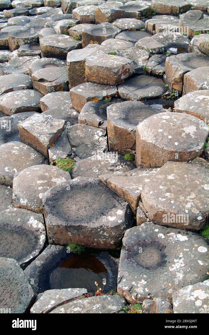 Giant's Causeway, Irlanda del Nord, Nordirland, Europa, Észak-Írország, patrimonio dell'umanità dell'UNESCO Foto Stock