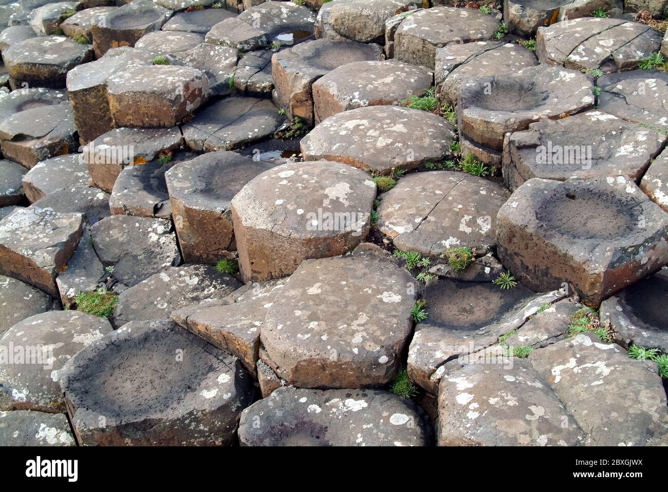 Giant's Causeway, Irlanda del Nord, Nordirland, Europa, Észak-Írország, patrimonio dell'umanità dell'UNESCO Foto Stock