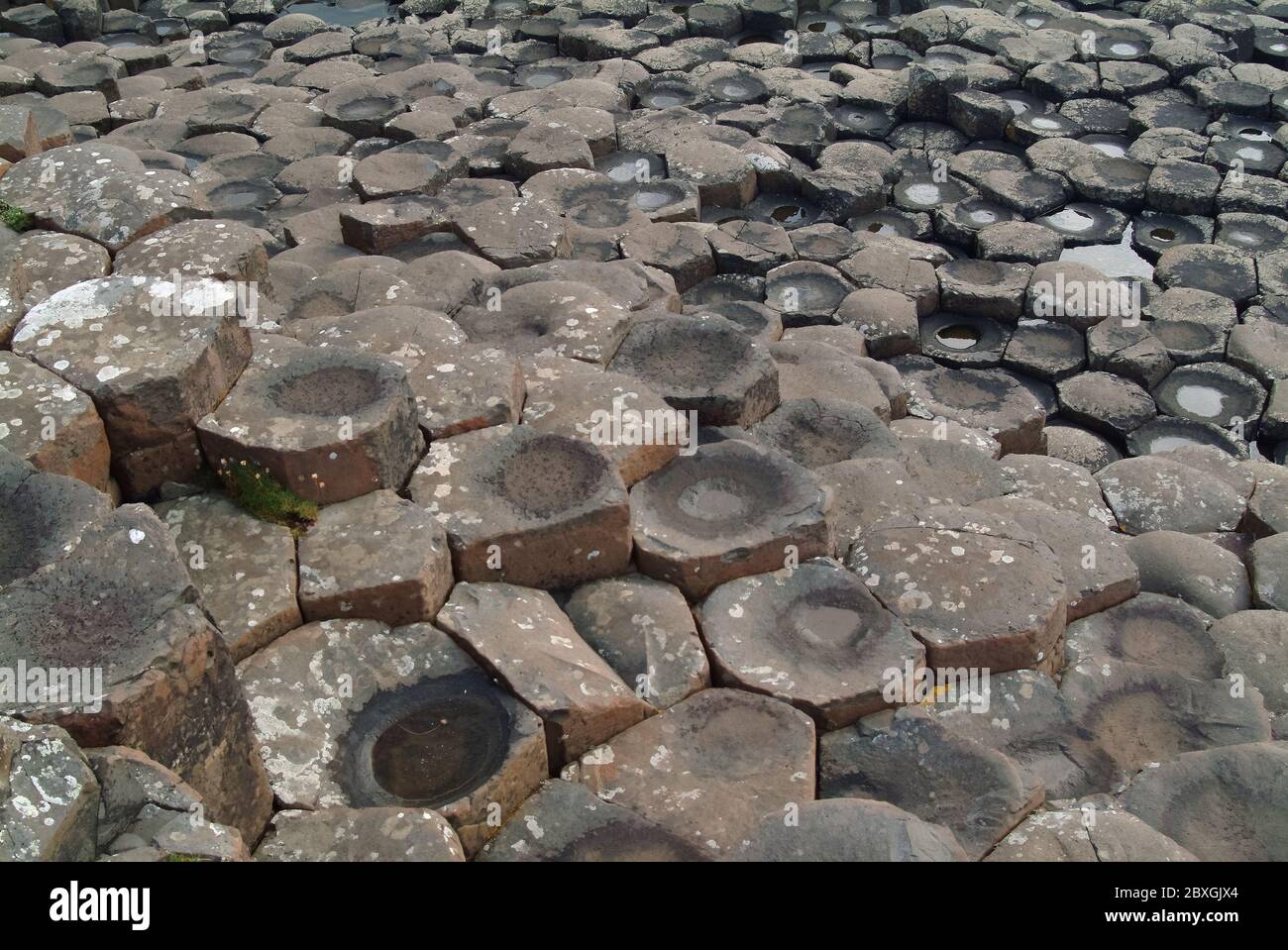 Giant's Causeway, Irlanda del Nord, Nordirland, Europa, Észak-Írország, patrimonio dell'umanità dell'UNESCO Foto Stock