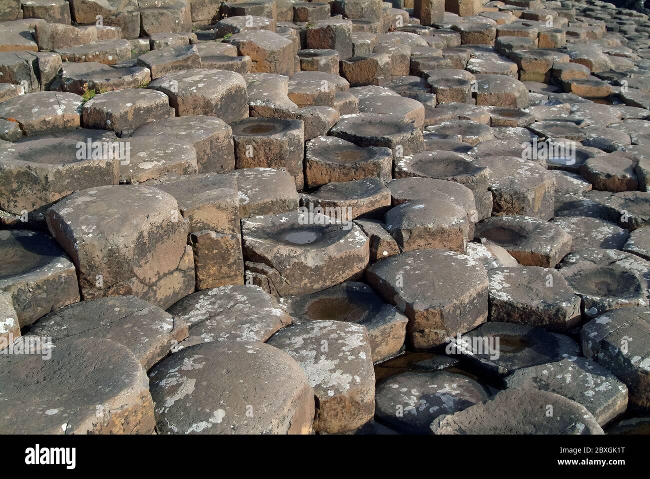 Giant's Causeway, Irlanda del Nord, Nordirland, Europa, Észak-Írország, patrimonio dell'umanità dell'UNESCO Foto Stock