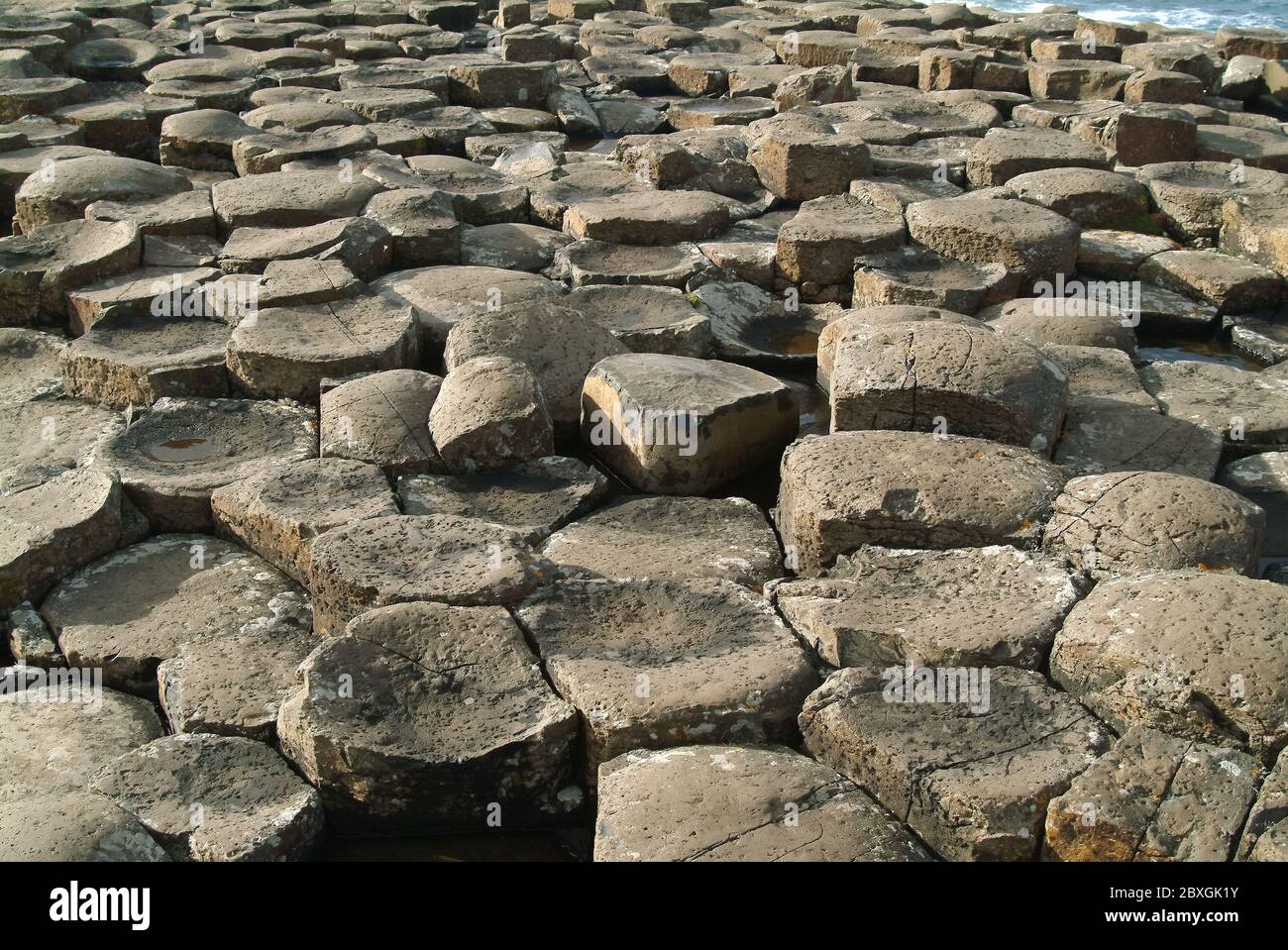 Giant's Causeway, Irlanda del Nord, Nordirland, Europa, Észak-Írország, patrimonio dell'umanità dell'UNESCO Foto Stock
