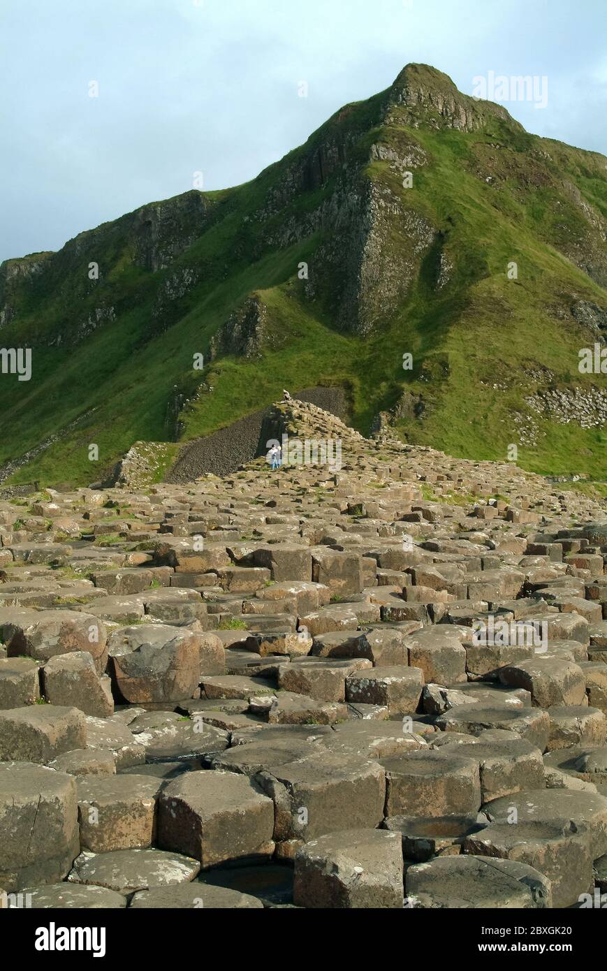 Giant's Causeway, Irlanda del Nord, Nordirland, Europa, Észak-Írország, patrimonio dell'umanità dell'UNESCO Foto Stock