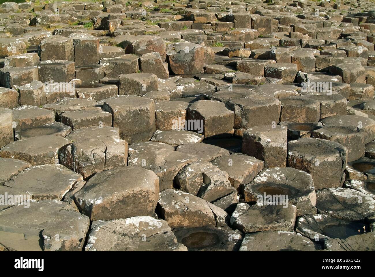 Giant's Causeway, Irlanda del Nord, Nordirland, Europa, Észak-Írország, patrimonio dell'umanità dell'UNESCO Foto Stock
