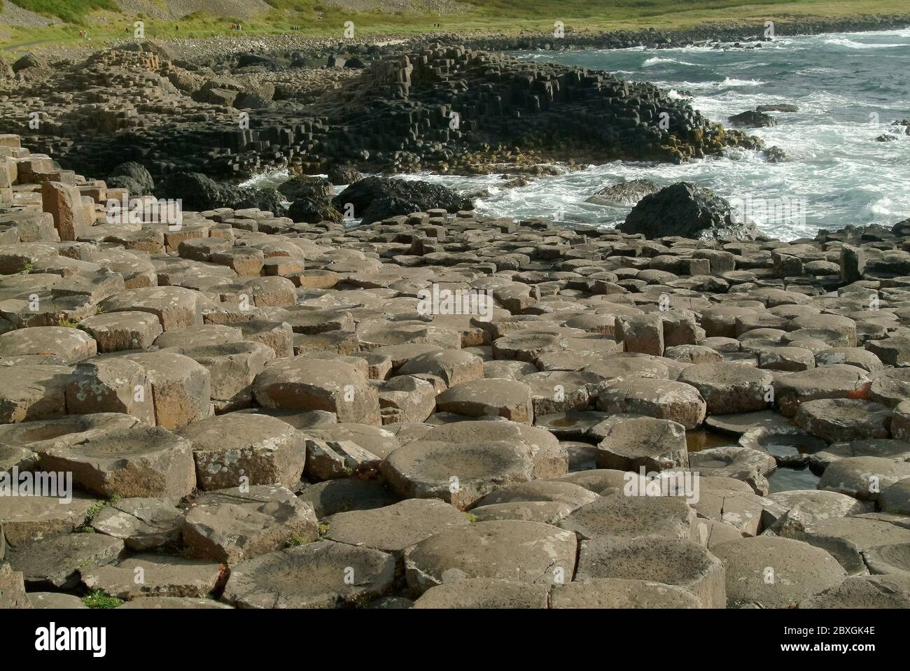 Giant's Causeway, Irlanda del Nord, Nordirland, Europa, Észak-Írország, patrimonio dell'umanità dell'UNESCO Foto Stock