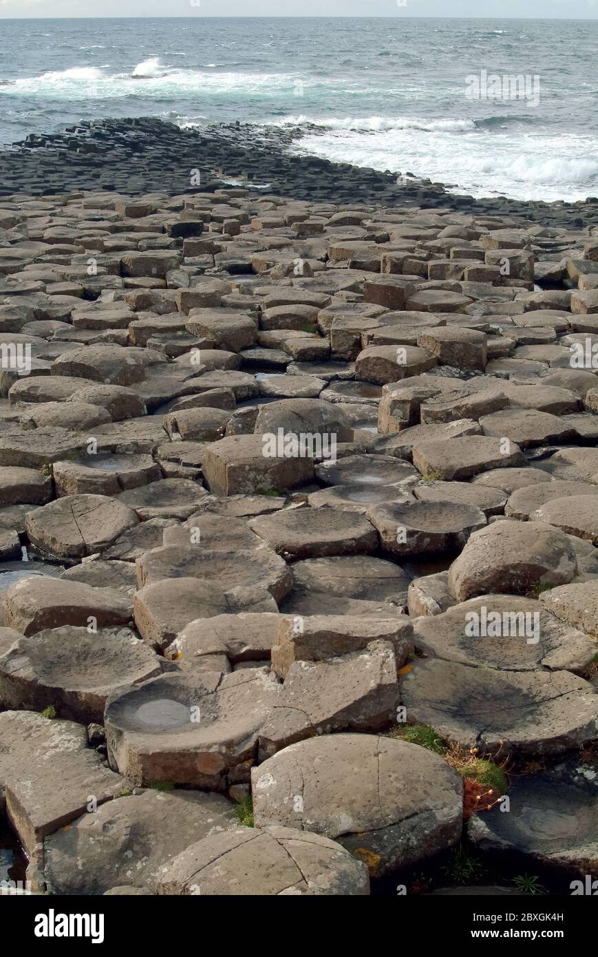 Giant's Causeway, Irlanda del Nord, Nordirland, Europa, Észak-Írország, patrimonio dell'umanità dell'UNESCO Foto Stock
