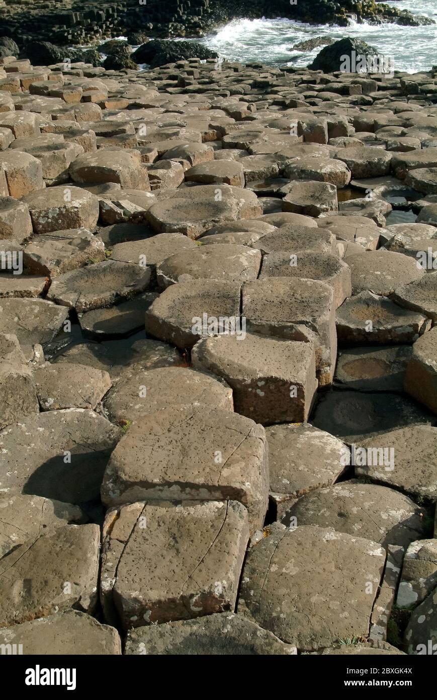 Giant's Causeway, Irlanda del Nord, Nordirland, Europa, Észak-Írország, patrimonio dell'umanità dell'UNESCO Foto Stock