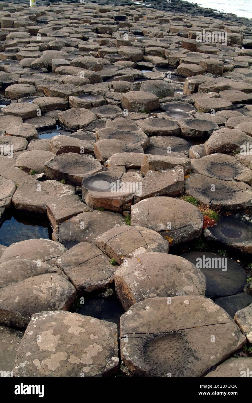 Giant's Causeway, Irlanda del Nord, Nordirland, Europa, Észak-Írország, patrimonio dell'umanità dell'UNESCO Foto Stock