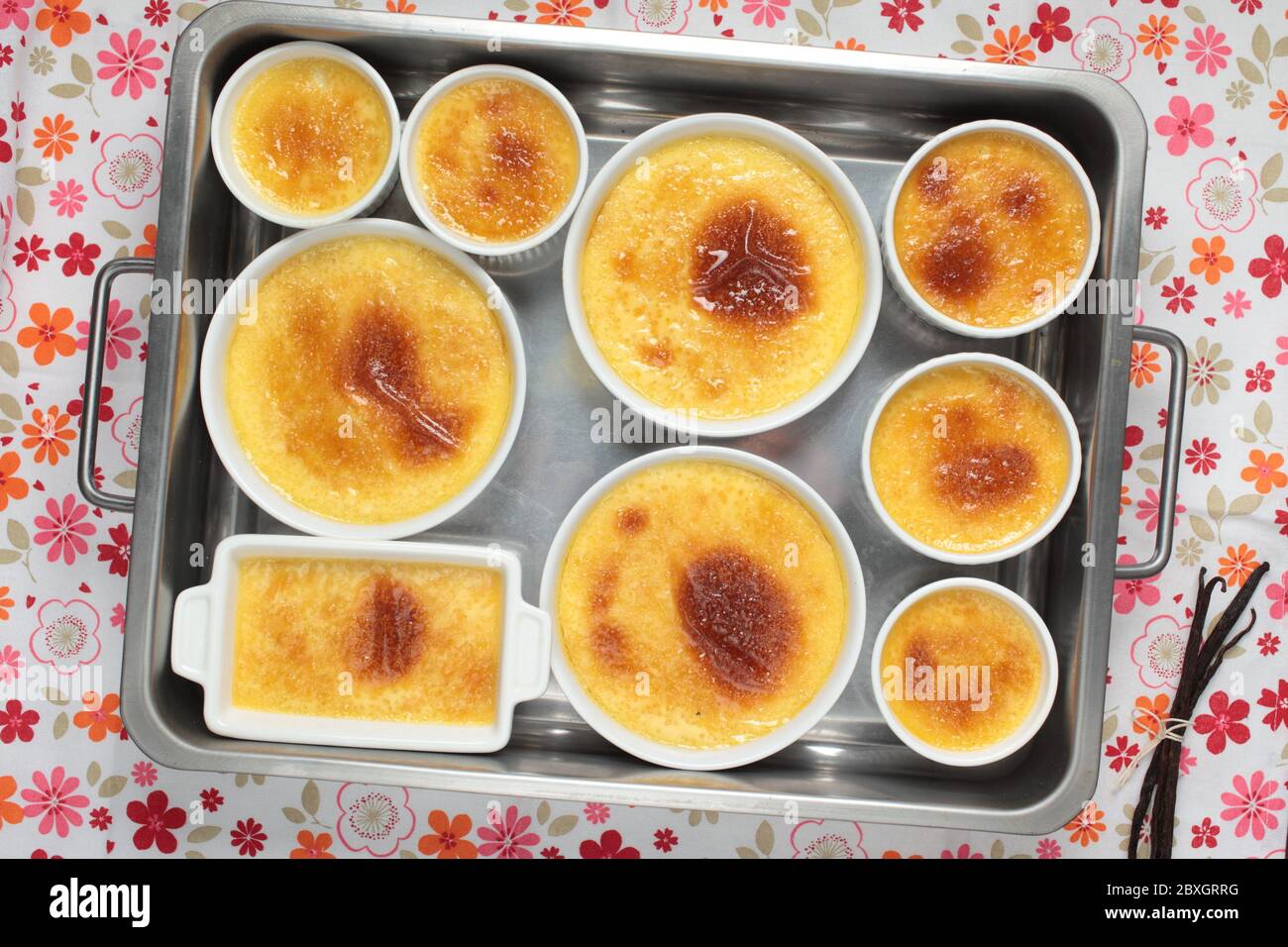 Set di creme brulee in piatti di cottura. Vista superiore Foto Stock