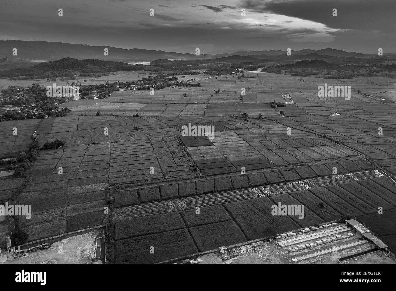 Vista aerea del terreno agricolo/campo di Riice in Thailandia. Fotografia aerea Foto Stock