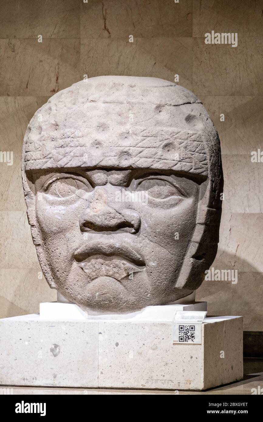 Colossale pietra Olmec in mostra al Museo di Antropologia nel centro storico di Xalapa, Veracruz, Messico. La civiltà Olmec fu la prima civiltà mesoamericana conosciuta, che risale approssimativamente dal 1500 a.C. a circa 400 a.C.. Foto Stock