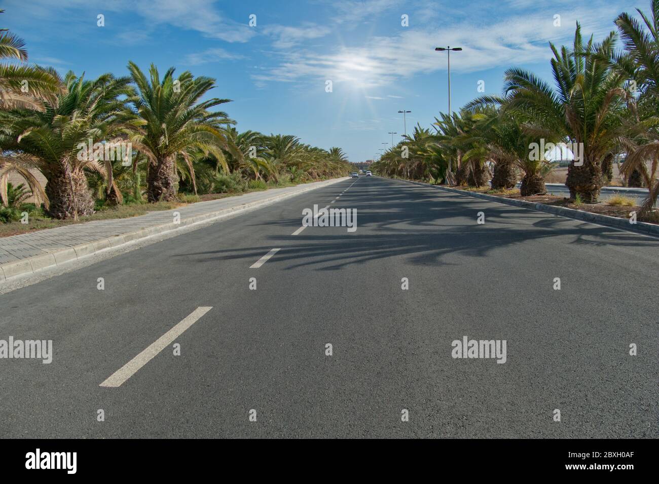 Strada con alberi a Maspalomas, Gran Canaria, Spagna - sole sullo sfondo Foto Stock