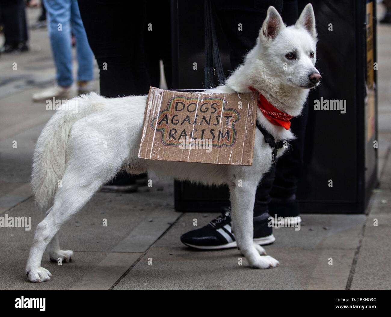 Manchester, Regno Unito. 7 Giugno 2020. Black Lives Matter protesta a Manchester UK Domenica 7 giugno a St Peters Square.migliaia di persone - la maggior parte dei quali indossavano maschere facciali per Covid-19. La protesta di oggi è stata una delle tre che si terrà a Manchester nel corso del fine settimana come parte del Black Lives Matter Movement. Credito immagine: Gary Roberts/Alamy Live News Foto Stock