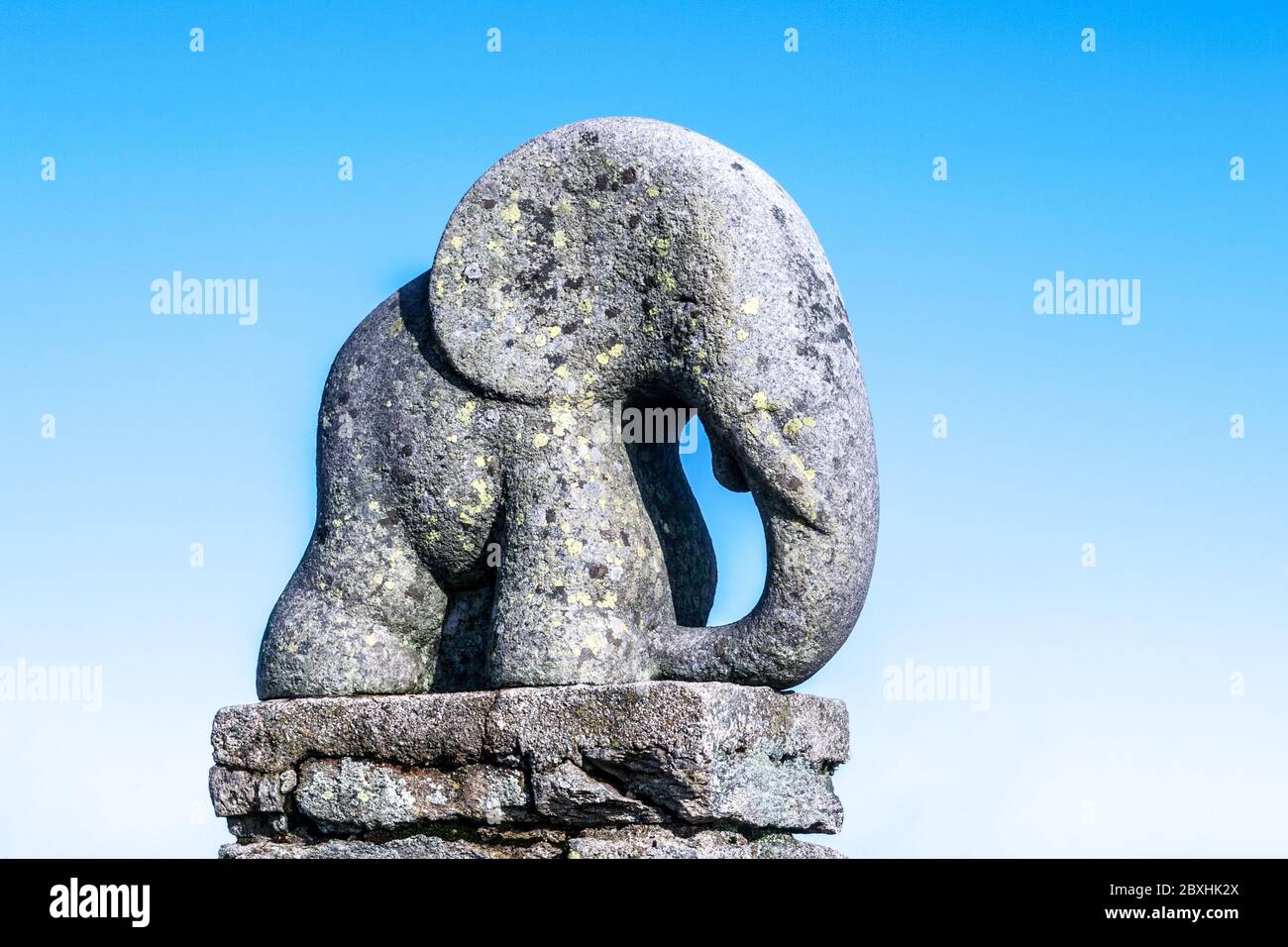 KRALICKY SNEZNIK, REPUBBLICA CECA - 29 OTTOBRE 2011: Giovane scultura in granito elefante sul monte KRAALICKY Sneznik, Repubblica Ceca. Foto Stock