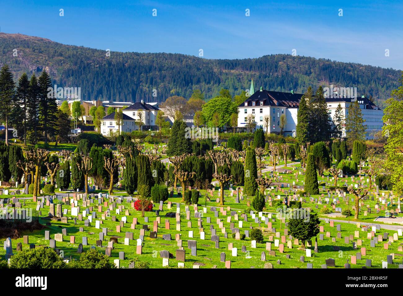 Cimitero di Møllendal, Bergen, Norvegia Foto Stock
