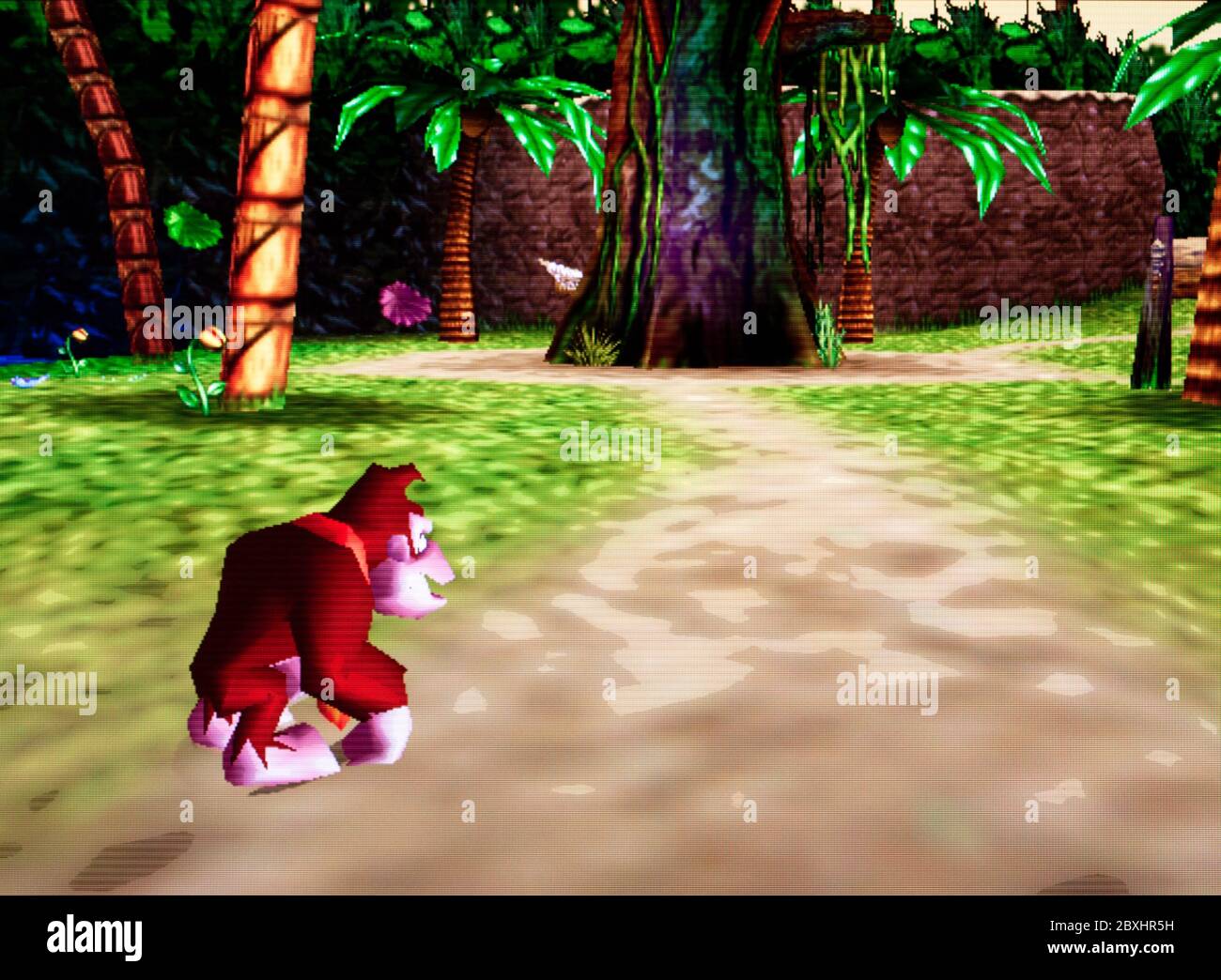 Donkey Kong 64 - Nintendo 64 Videogame - solo per uso editoriale Foto Stock