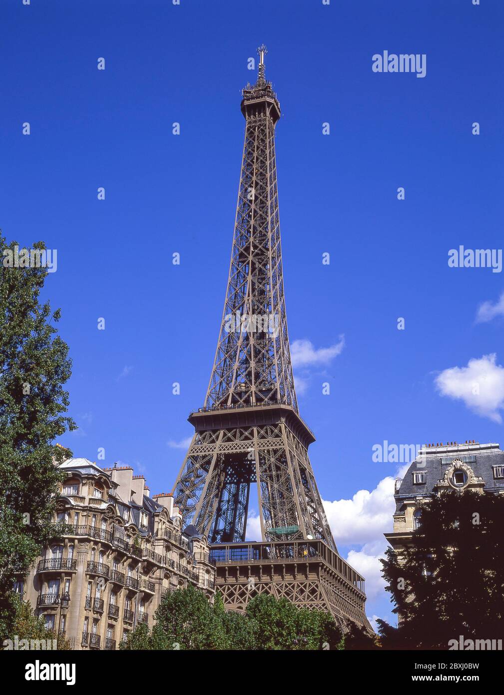 La Torre Eiffel (la Tour Eiffel) da Avenue de Suffren, Parigi, Île-de-France, Francia Foto Stock