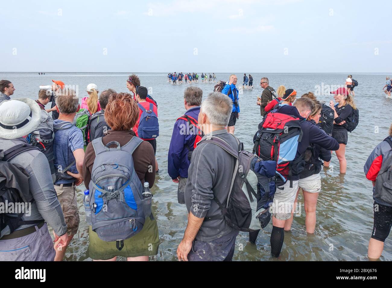 Escursioni a piedi su terreni fangati (Wadlopen, Wattwandern, Vadehavsvandring) tra i Paesi Bassi continentali (Frisia) e l'isola di Ameland Foto Stock