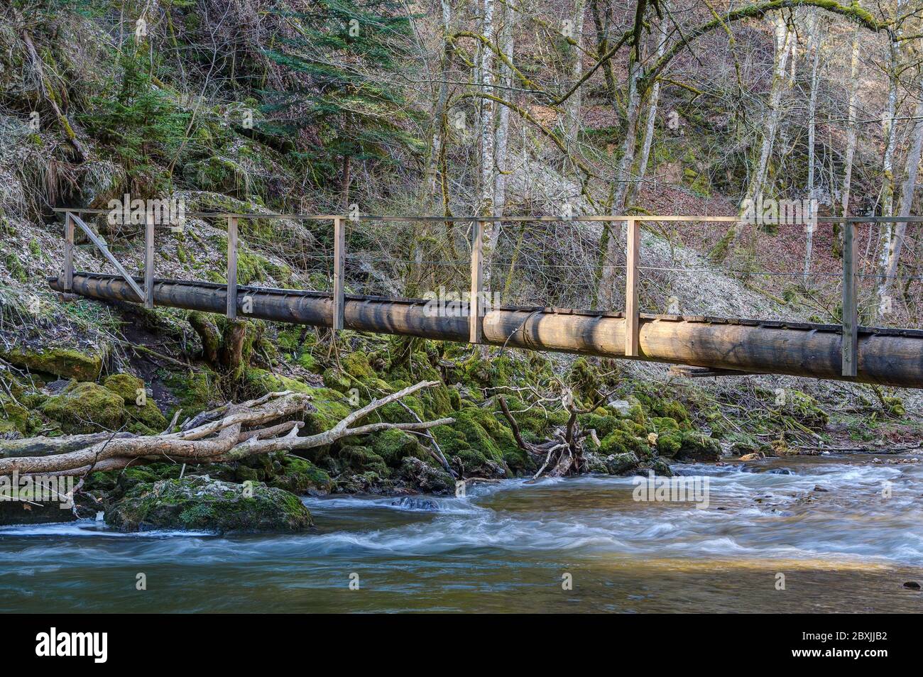 Stretti ponti pedonali in legno conducono l'escursionista attraverso le acque schiumate del fiume Wutach. Foto Stock