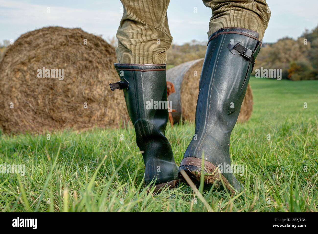 Un contadino va con i suoi stivali di gomma verdi fatti a mano attraverso il prato alle sue balle di fieno grandi Foto stock Alamy