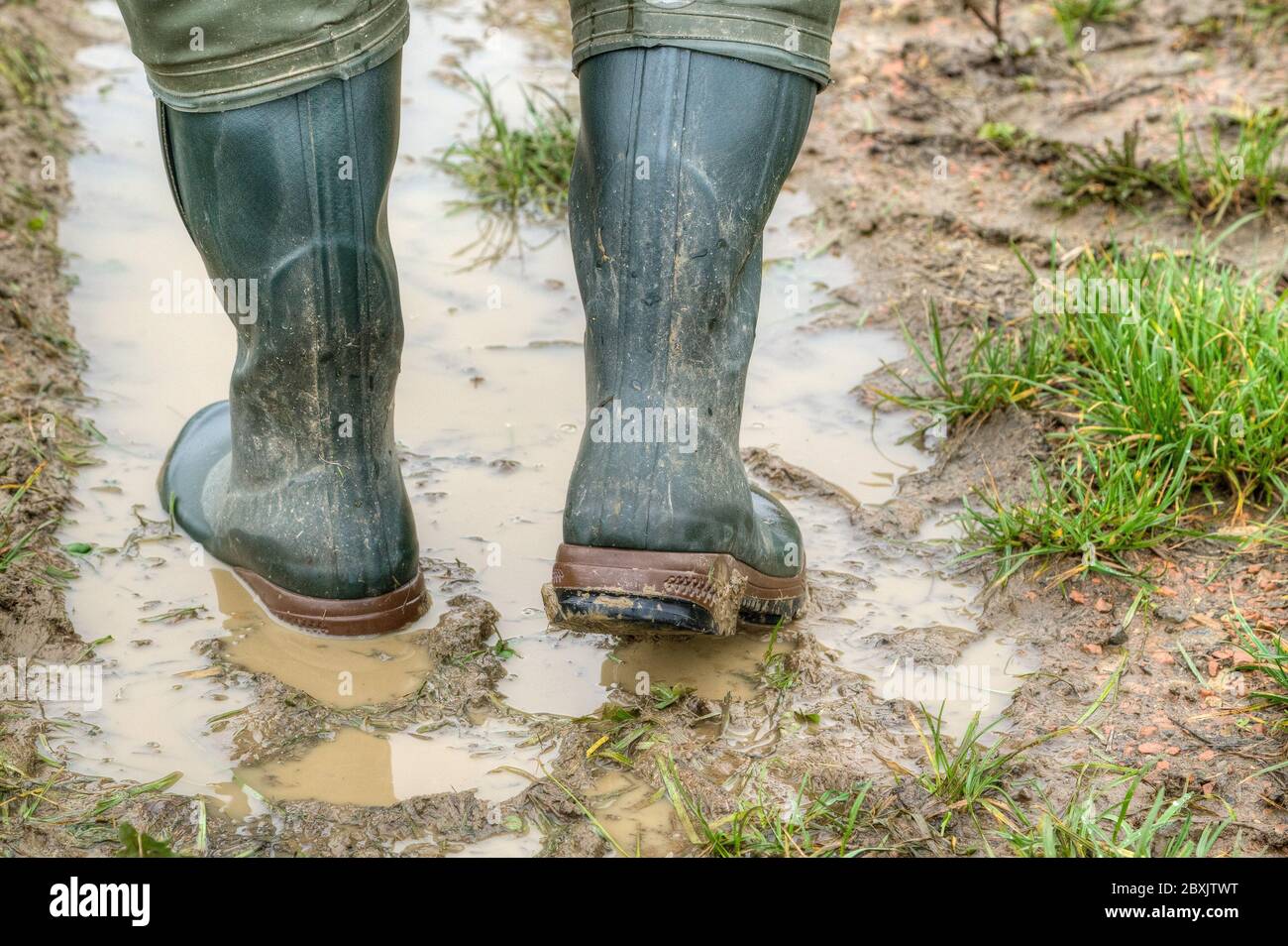 Con stivali in gomma attraverso il fango. L'agricoltore si reca con i suoi  stivali in gomma nella corsia fangosa del trattore sul campo. Vista da  dietro Foto stock - Alamy