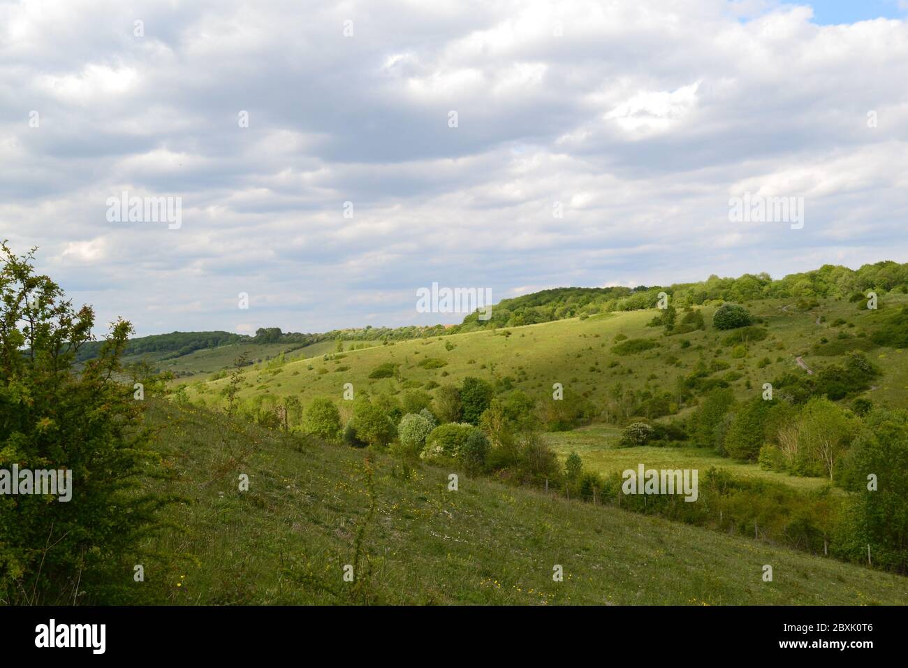 Vista dalla sorgente di Austin di Round Hill e valle secca, ora riavvistato che era un campo da golf Austin Lodge. Molte piante rare che amano il gesso crescono qui Foto Stock