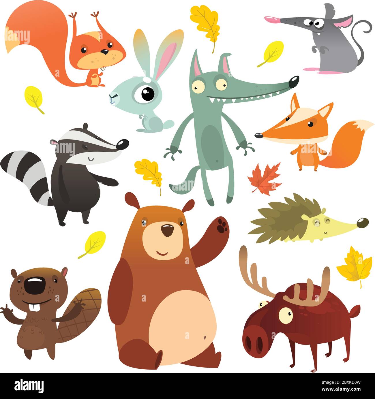 Cartoni animati animali della foresta. Cartoon carino animali selvatici  collezioni vettore. Grande insieme di cartoni animati animali della foresta  piatta illustrazione vettoriale. Scoiattolo Immagine e Vettoriale - Alamy